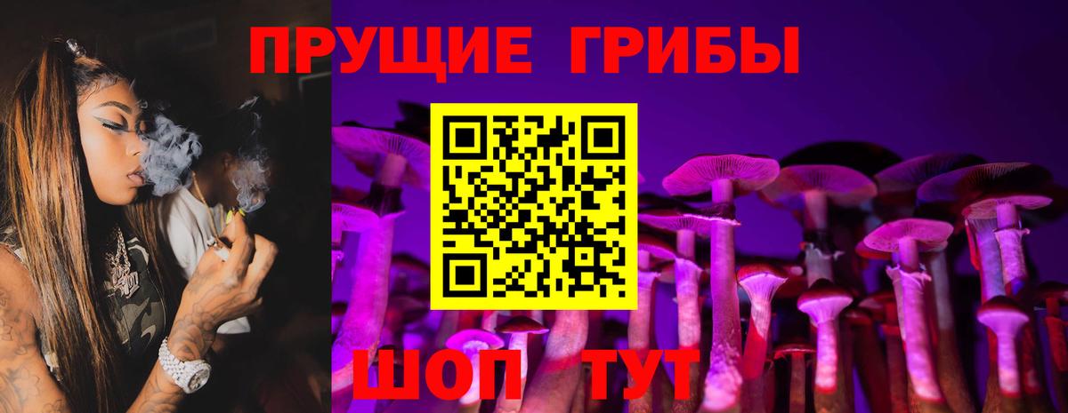 Ярославль  Галлюциногенные грибы Cubensis  Вход с VPN 